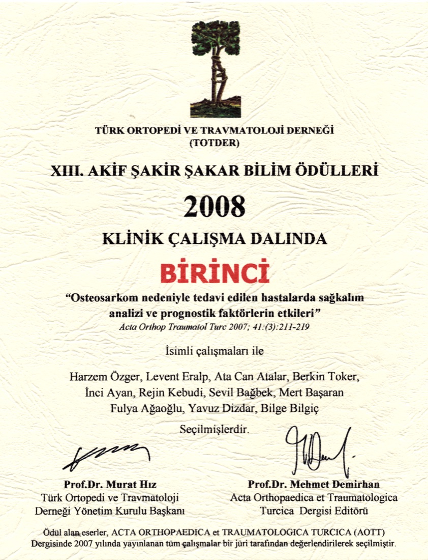 2008 1.LİK ÖDÜLÜ — ilk sayfa