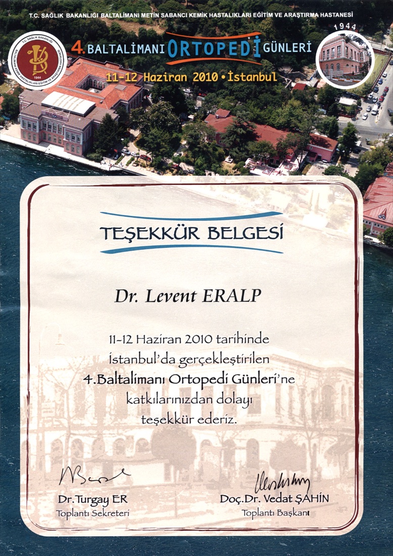 Baltalimanı 2010 — ilk sayfa