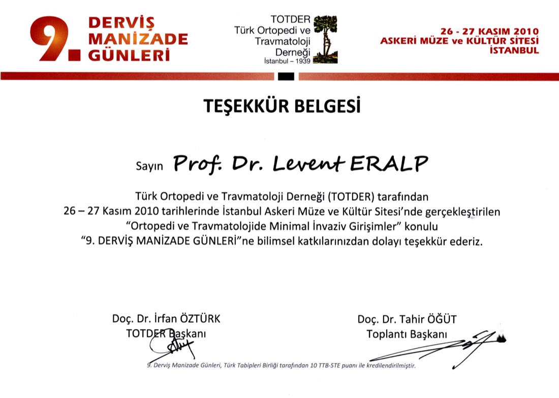 DERVİŞ MANİZADE 2010 — ilk sayfa