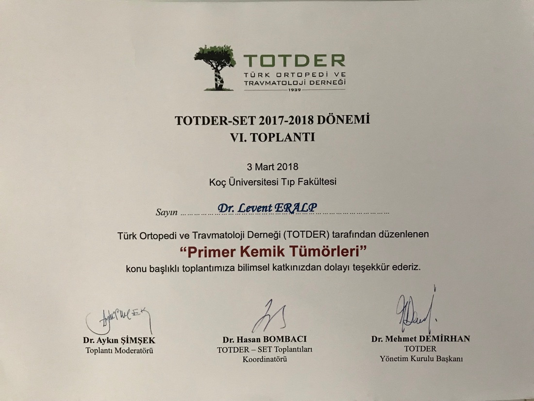 TOTDER SET 2018 — ilk sayfa